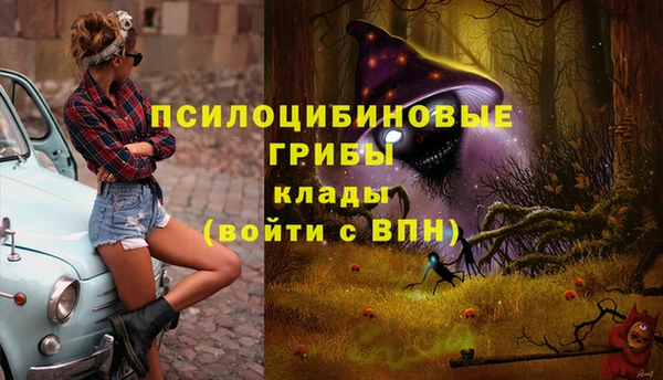 кокаин колумбия Алексин