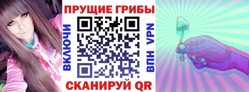 Галлюциногенные грибы Cubensis  Невьянск 